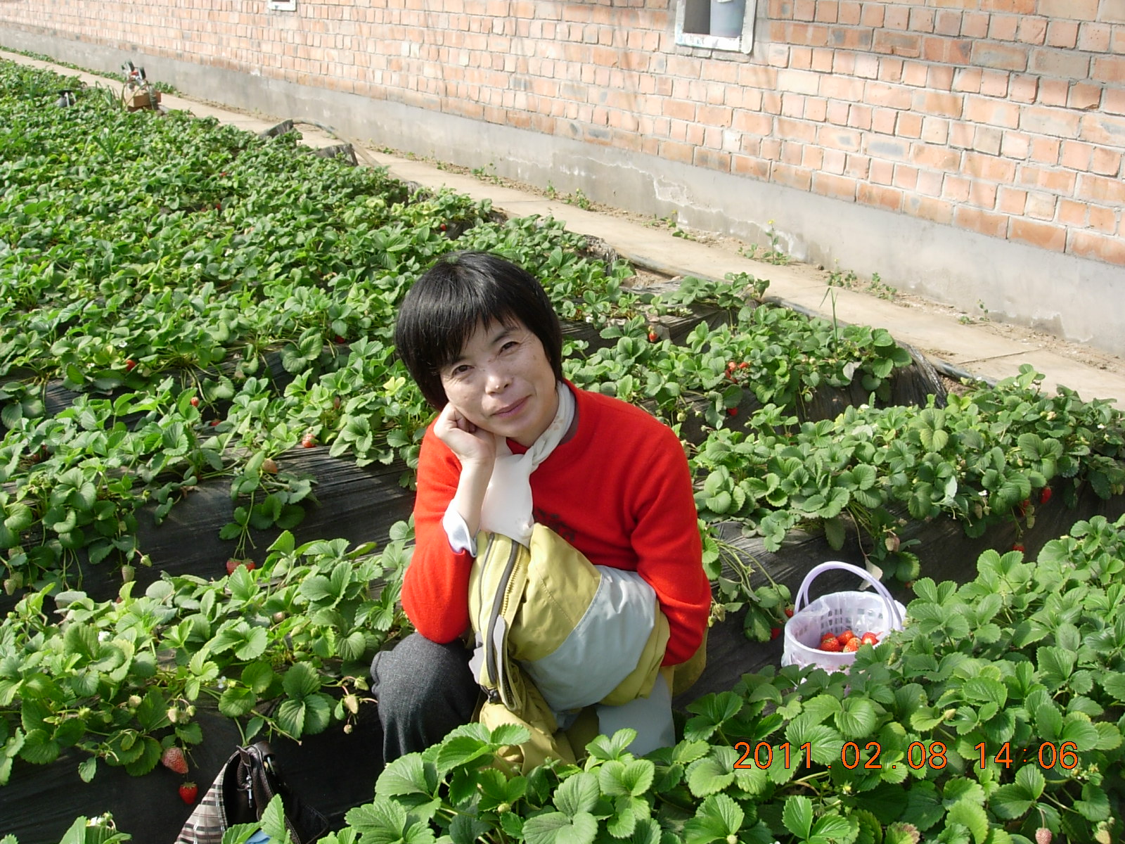 beats365亚洲体育投注